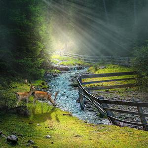 久草免费新视频14
